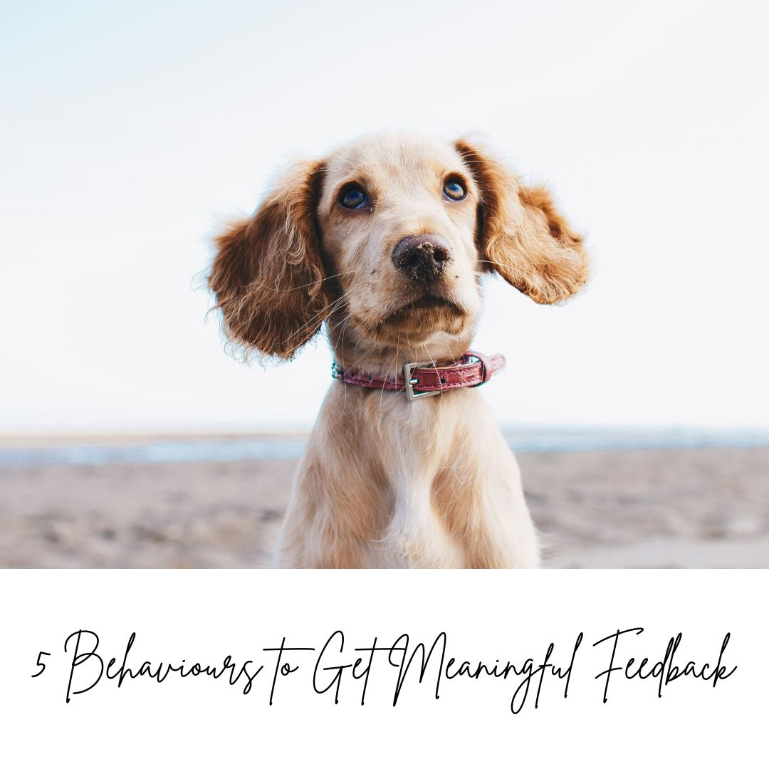 5 Behaviours to Get Meaningful Feedback