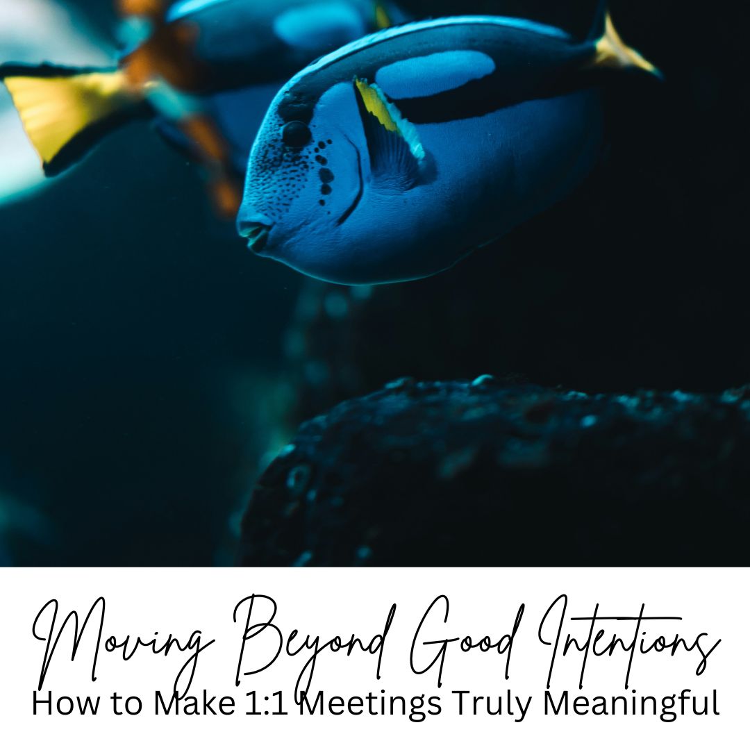 Moving Beyond Good Intentions: How to Make 1:1 Meetings Truly Meaningful