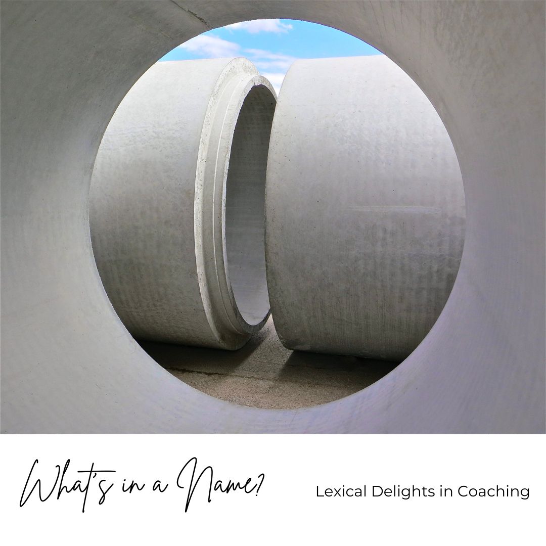 What’s in a Name? Lexical Delights in Coaching