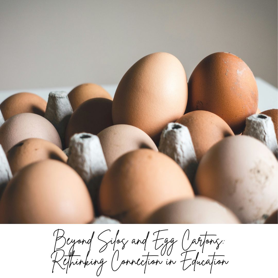 Beyond Silos and Egg Cartons: Rethinking Connection in Education