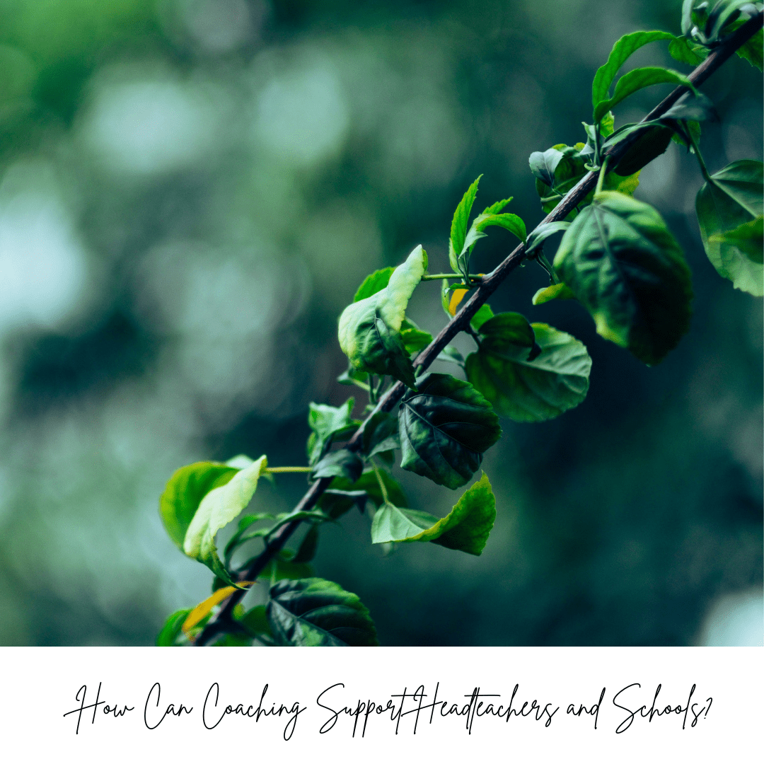 How Can Coaching Support Headteachers and Schools?