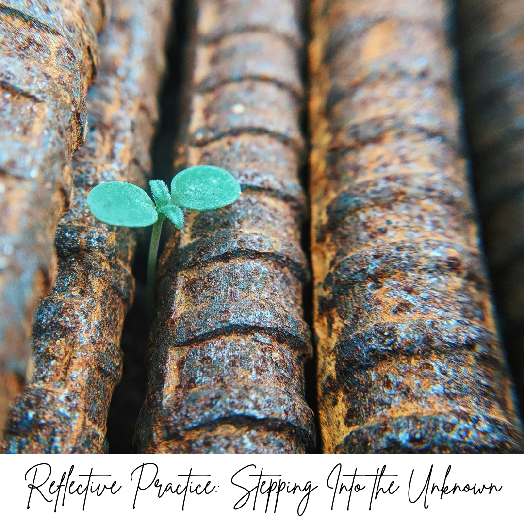 Reflective Practice: Stepping Into the Unknown