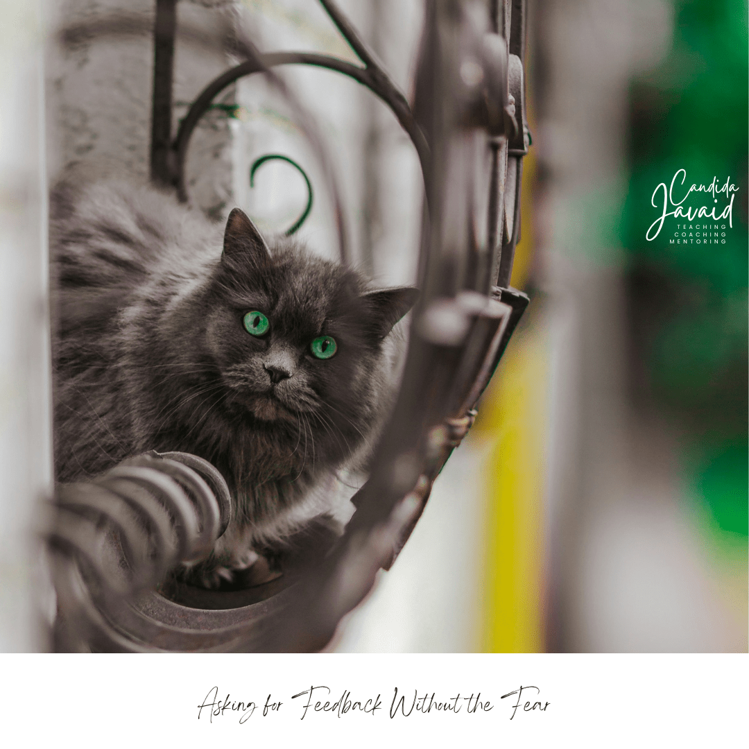 Asking for Feedback Without the Fear